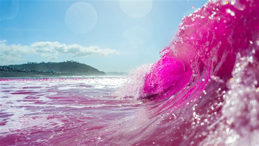 Why Are Scientists Dying The Ocean Pink In California?