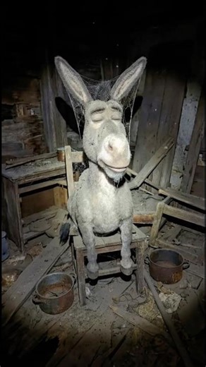 Are they being forgotten? #behindthescenes #viralshorts