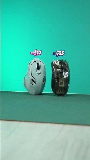 3D Printed Mouse vs Real