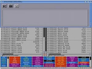 Installazione Manuale Di WHDLoad Con Avvio Gioco Da Disco Autopartente Creato Con WinUAE.