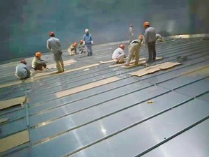 [Hot Item] The Energy Saving and Environmental Protection Equipment Internal Floating Roof for