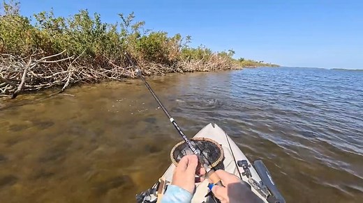🌊 Want to know the best spots for each tide cycle? Watch the full video to learn the secrets of fishing with the tide instead of against it. See more Fishing Tips at www.saltstrong.com/fishing-tips/ | Salt Strong