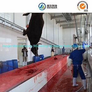 [Hot Item] Slaughter Machine for Cow Abattoir