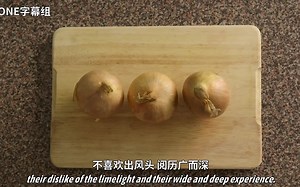 【TED科普】柏拉图式哲学精华提炼！