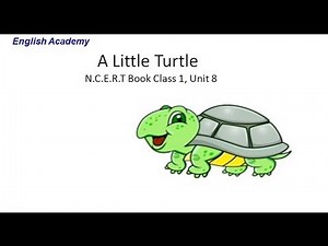 A Little Turtle - Summary : (English) Video Lecture - Class 1
