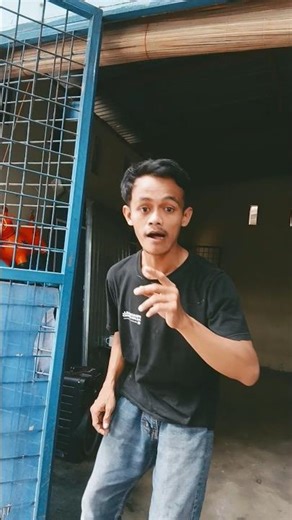 looking for a cellphone using a monkey #shortsvideo #funny