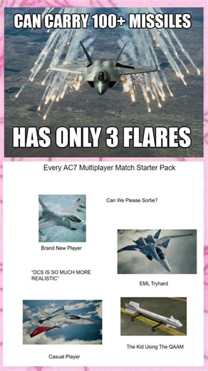 Ace combat memes #acecombat7 #fyp #fypシ #meme