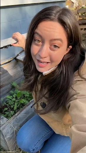 Grow Your Own Food This Winter in a DIY Coldframe 🌱 #gardeningvideos #wintergardening