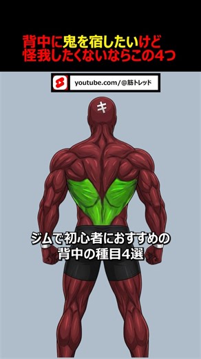 4 Back Exercises Recommended for Beginners at the Gym #StrengthTraining #Exercise #Muscles #Diet ...