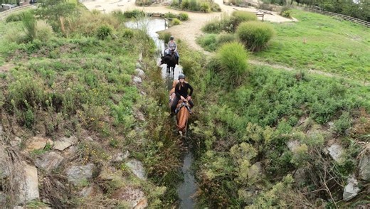VIDÉO - Mountain trail : l’équitation western accessible à tous - ICI