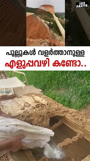 Did you see the easy way to grow grass..👌👌👌