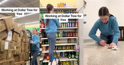 This Random Woman Worked A Full Day Shift At A Dollar Tree For Free. – ‘I immediately got to work, I started sweeping the floors.’