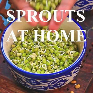158K views · 59 reactions | Here's an easy way to make sprouts at home - kitchen tips and tricks #nandooskitchen #sprouts | Nandoo's kitchen | Facebook