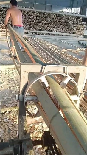 Satisfying Bamboo Splitting Process