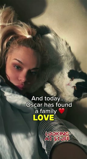 Nobody thought Oscar would survive... he proved them wrong 🐾💚 #catrescue #shorts