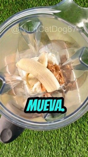Paletas Heladas para Perros (¡Con Palito Comestible!) 🍦🐾
