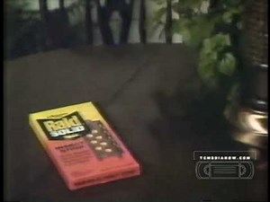 Raid Solid Insect Strip