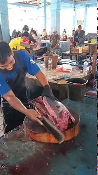 How to Cut Fish Perfectly Every Time – Live
