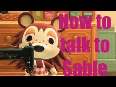 How to get Sable to talk to you in Animal Crossing New Horizons ACNH