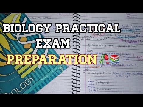 Preparing for my first practical exam of class 12th✋️🙂📚||biology