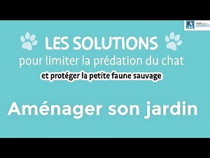 Les solutions au jardin pour limiter la prédation du chat et protéger la petite faune sauvage