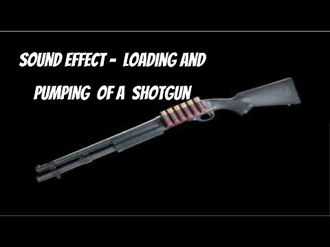 Sound Effect - Loading and Pumping 12 Gauge ShotGun