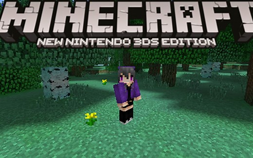【3DS版】 Minecraft 3ds 阴影