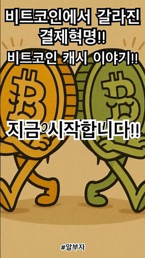 🚀 비트코인 캐시의 모든 것! 하드포크부터 현재 가치까지 💸 #비트코인캐시 #알트코인 #하드포크 #로저버 #지한우 #암호화폐 #결제혁명 #투자정보