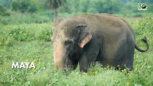 5.7K views · 364 reactions | Broken. Shackled. Silenced. That’s how...