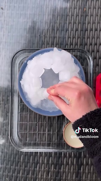 How to Create an Ice Cube Igloo for Kids