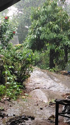 വിജയൻ മുത്തപ്പൻപുഴാ on Reels