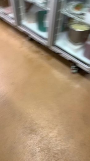 Inside a Professional Kitchen: Insights and Operations