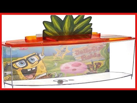 PENN PLAX Spongebob Squarepants Officially Licensed Betta and Goldfish Bow Tank – Orange–0 7 Gallon