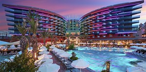 Calyptus Kirman Premium