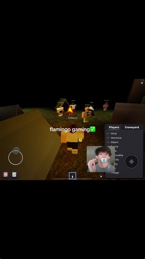 #albertsstuff #flamingoalbert #flamingo #flickerroblox #flickeralbert