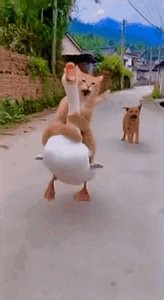 Me rushing to Twitter to see of Instacart is down when I desperately need groceries for the Tinis Mac and Cheese