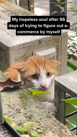 Yes, it can feel that way. But it doesn't have to. 🧠 | Amazing.com