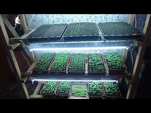 КАК ПОСТРОИТЬ СВОИМИ РУКАМИ ПРОСТОЙ СТЕЛЛАЖ ДЛЯ РАССАДЫ С ПОДСВЕТКОЙ.