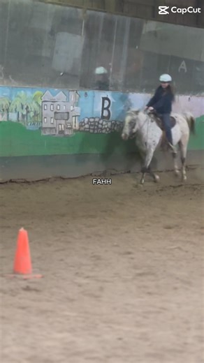 horse side better fr #horse #pony #cute #equestrian #pretty #capcut #trending #viral #shorts #fyp