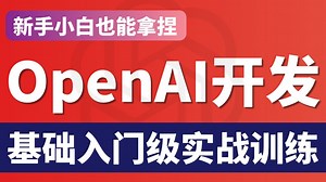 【全888集】B站最全OpenAI开发技巧！零基础入门到实战训练！全程干活，无废话！新手小白也能拿捏！