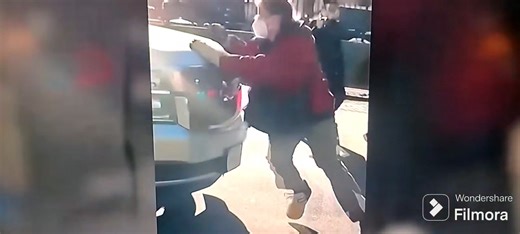 Question. What should a person with an expired sticker do who is also in the country illegally if they are ever stopped by a government official? Should they; A: Shut up and just follow the law and pay their damn sticker fee like the rest of us have to do, or B: Find someone willing to leave their children behind so that they and their lesbian girlfriend, and the family dog, can ram towards law enforcement officials with their 4,000lb vehicle while evading any attempt to be stopped. "Which law s