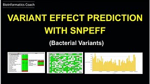 Variant Annotation and effect prediction with snpeff