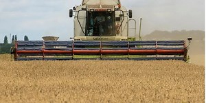 Ukraine's farming sector achieves historic high in grain yields for 2023