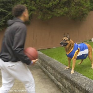 3.4M views · 144K reactions | Steph Furry is ELITE  (via frank_dag, maxwellpearce/Instagram) | ESPN | Facebook