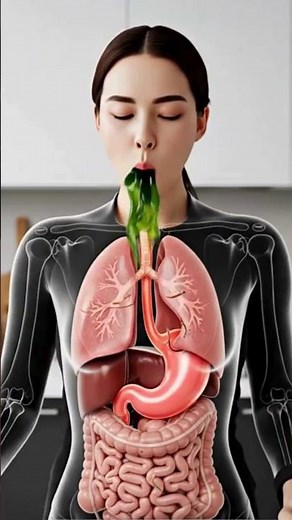 See How This Food Trave Through The Item #digestiveprocess