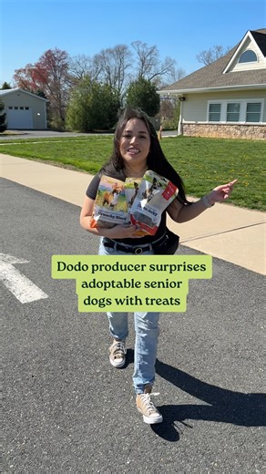 97K views · 2K reactions | Surprised some of the sweetest adoptable senior pups at Marty's Place Senior Dog Sanctuary with our new Dodo treats! Coco politely asked for more (with the cutest paw tap ever) and Uno tried to steal the whole bag  Safe to say these got two paws up! – Mary, TheKhaleesiCat Shop the treats: https://thedo.do/CaledonFarms_FB | The Dodo | Facebook