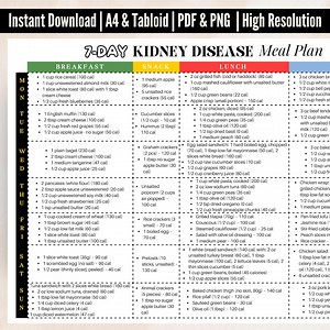 7-day Kidney-friendly Meal Plan Guide Printable PDF, Renal Diet, Low Sodium, Low Potassium, Phosphorus Meals, Chronic Kidney Disease Support - Etsy