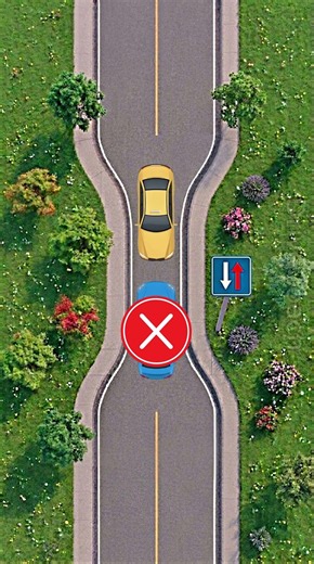 🚗 Narrow Road Priority Rules | Who Should Go First? ⚠️ #driving #dmv #tips #shorts #youtubeshorts