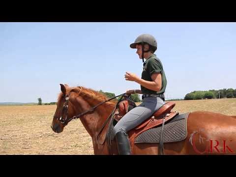 Trail Riding for Beginners