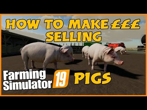 farming sim pigs How to make money selling pigs fs19 pigs farming simulator 19 pigs